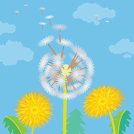 gentle flowers dandelionsのイラスト素材