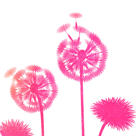 watercolor dandelion backgroundのイラスト素材