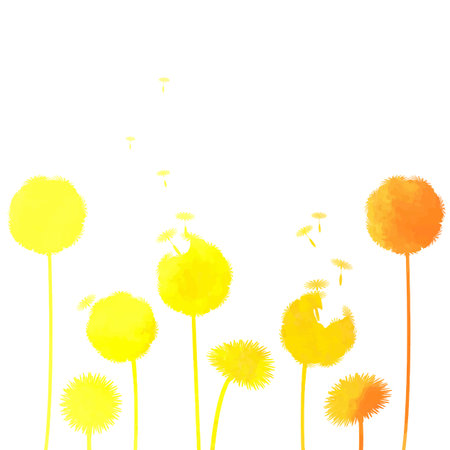 watercolor dandelion backgroundのイラスト素材
