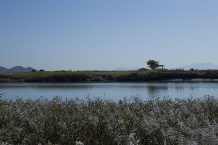 rest place in the sunchonmanの写真素材