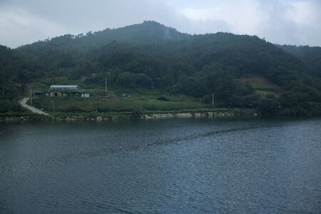 streams on the early morningの写真素材