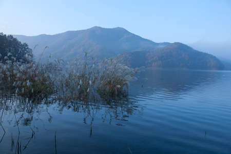lake on the early morningの写真素材