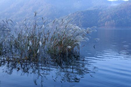 lake landscape in the early morningの写真素材