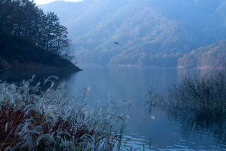 lake on the early morning landscapeの写真素材