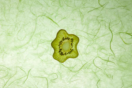 slice factitious kiwiの写真素材