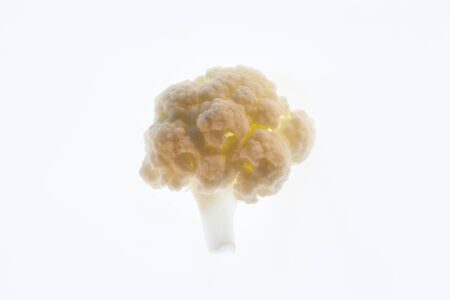 Minimalism Cauliflowerの写真素材