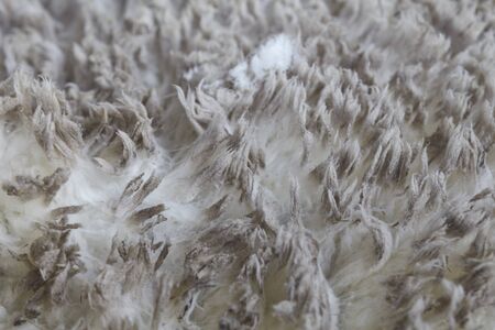 Soft woolの写真素材