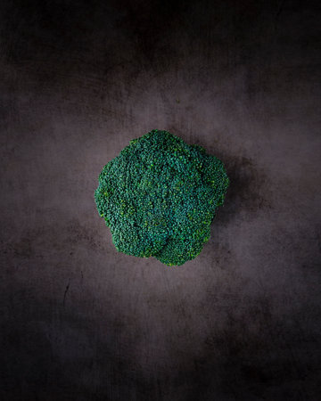 Broccoli on a dark background, top view, place for textの写真素材