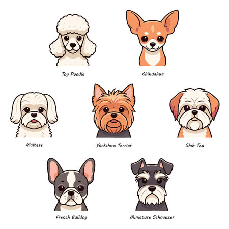 Face illustrations of 7 popular small dog breedsのイラスト素材