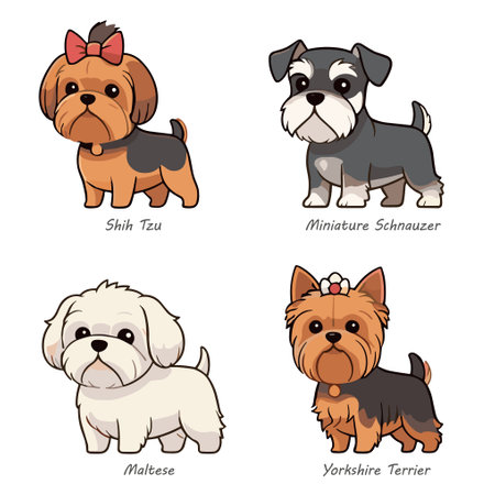 Four Small Dog Breeds: Shih Tzu, Maltese, Yorkie, and Miniature Schnauzerのイラスト素材