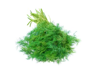 Green dill stems isolated on white background の写真素材