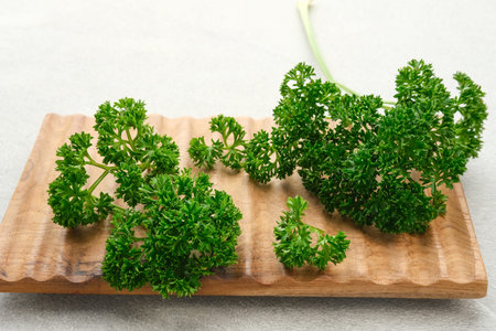 Fresh organic parsley herb isolated on white background. Close up and copy space.