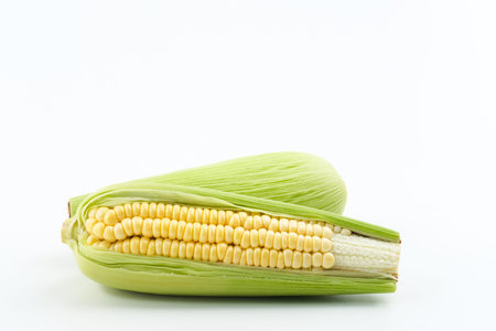 Organic sweet corn isolated on a white background. Copy space.