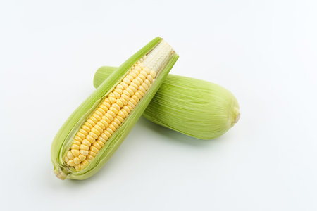 Organic sweet corn isolated on a white background. Copy space.