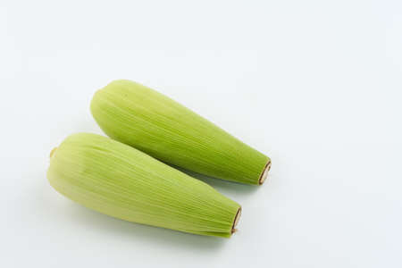 Organic sweet corn isolated on a white background. Copy space.の写真素材