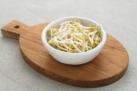 Fresh bean sprouts or tauge ready to cook. Selected focus.の写真素材
