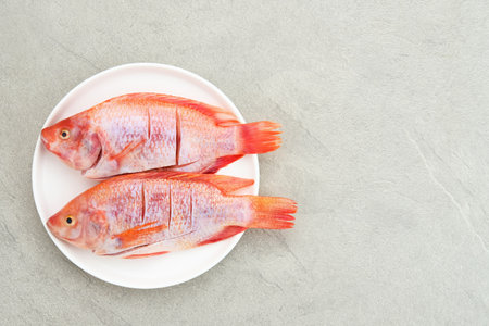 Ikan Nila Merah (Raw red tilapia fish) is a kind of freshwater fish consumption, served on white plate. Selected focusの写真素材