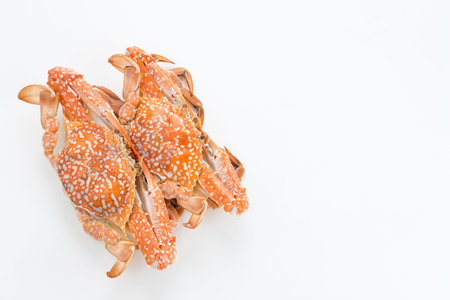 Steamed Blue Crab, food preparation, space for textの写真素材