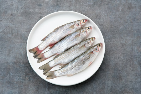 Ikan Belanak or Moolgarda seheli, food preparation, copy spaceの写真素材
