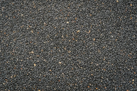 Selasih or basil seed, is a spice from the basil plant, usually used to mix in drinks.の写真素材