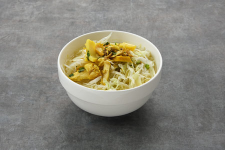 Soto Ayam Lamongan, traditional chicken soup from Indonesiaの写真素材