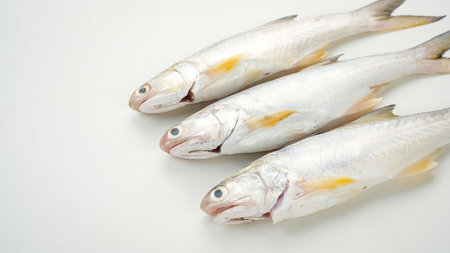 Yellow Croaker Fish, Ikan Ekor Kuning isolated on white background