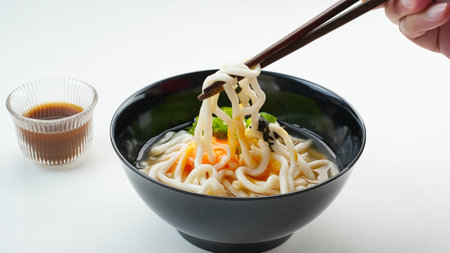 Udon Noodles with egg yolk and dashi soup, japanese foodの写真素材