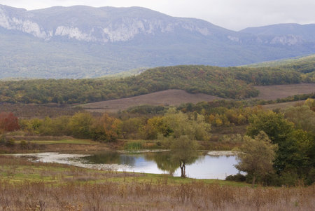 Small lake in mountains の写真素材