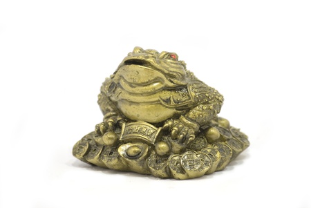 Frog の写真素材