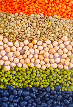 different kind of beansの写真素材