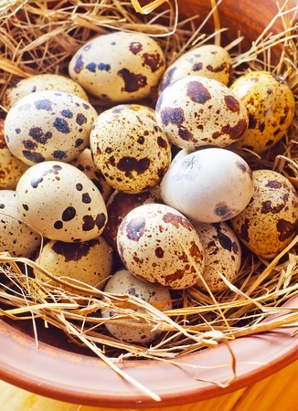 raw guail eggsの写真素材