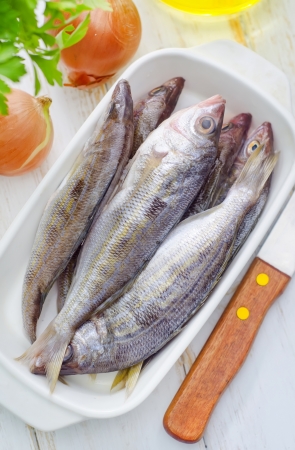 fresh fishの写真素材