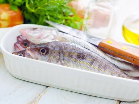 fresh fishの写真素材