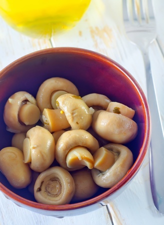 mushroomsの写真素材