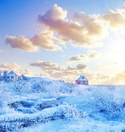 winterのeditorial素材