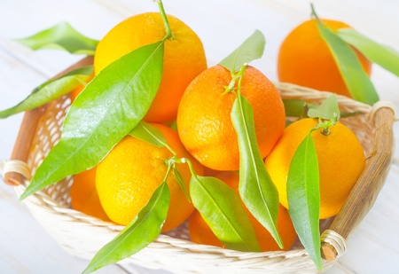 mandarinの写真素材