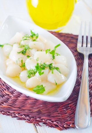 scallopの写真素材