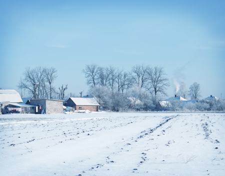 winterの写真素材