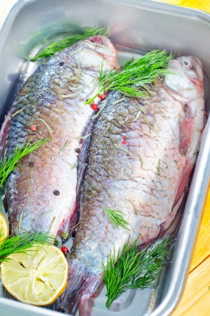 fresh carpの写真素材