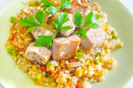 rice with meatの写真素材