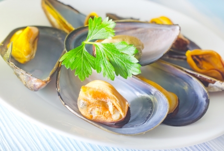 musselsの写真素材