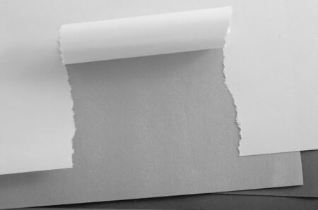 paperの写真素材