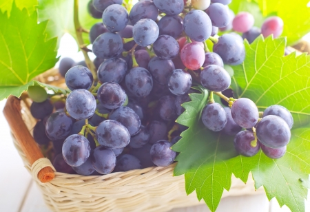 grapeの写真素材