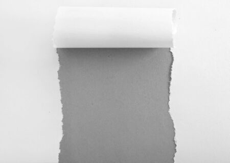paperの写真素材