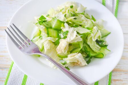 Portion of salad with cabbage and cucumberの写真素材