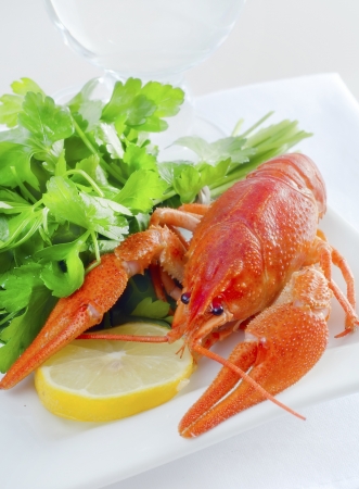 crawfishの写真素材