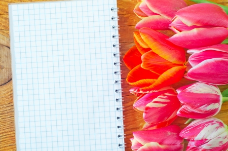 tulips and noteの写真素材