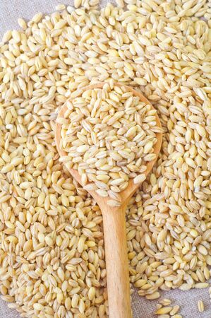 wheatの写真素材