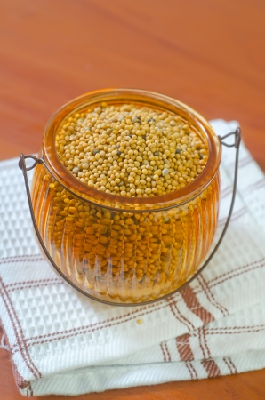 mustardの写真素材