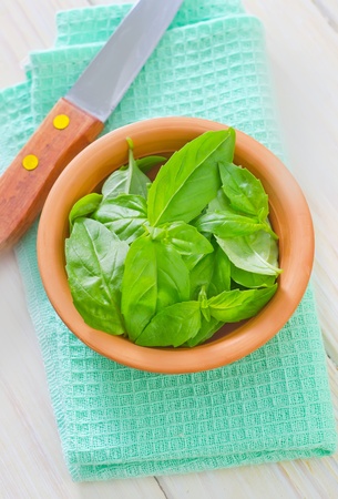 fresh basilの写真素材